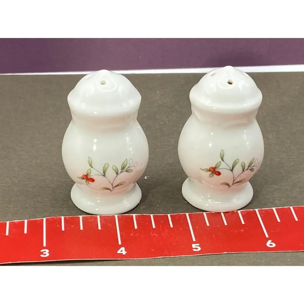 Set of Pfaltzgraff White Porcelain Hand Painted Small Salt & Pepper S&P Shakers